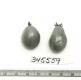 Click for 1 image(s) for this accession. FRUIT